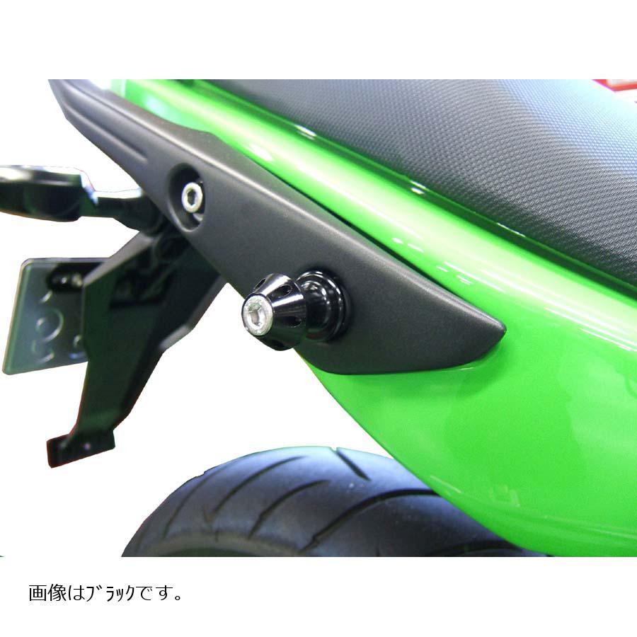 ACTIVE(アクティブ) 荷掛フック ブラック 2個セット ニンジャ NINJA400 ABS可 NINJA650 ABS可 1992026｜plotonlinestore