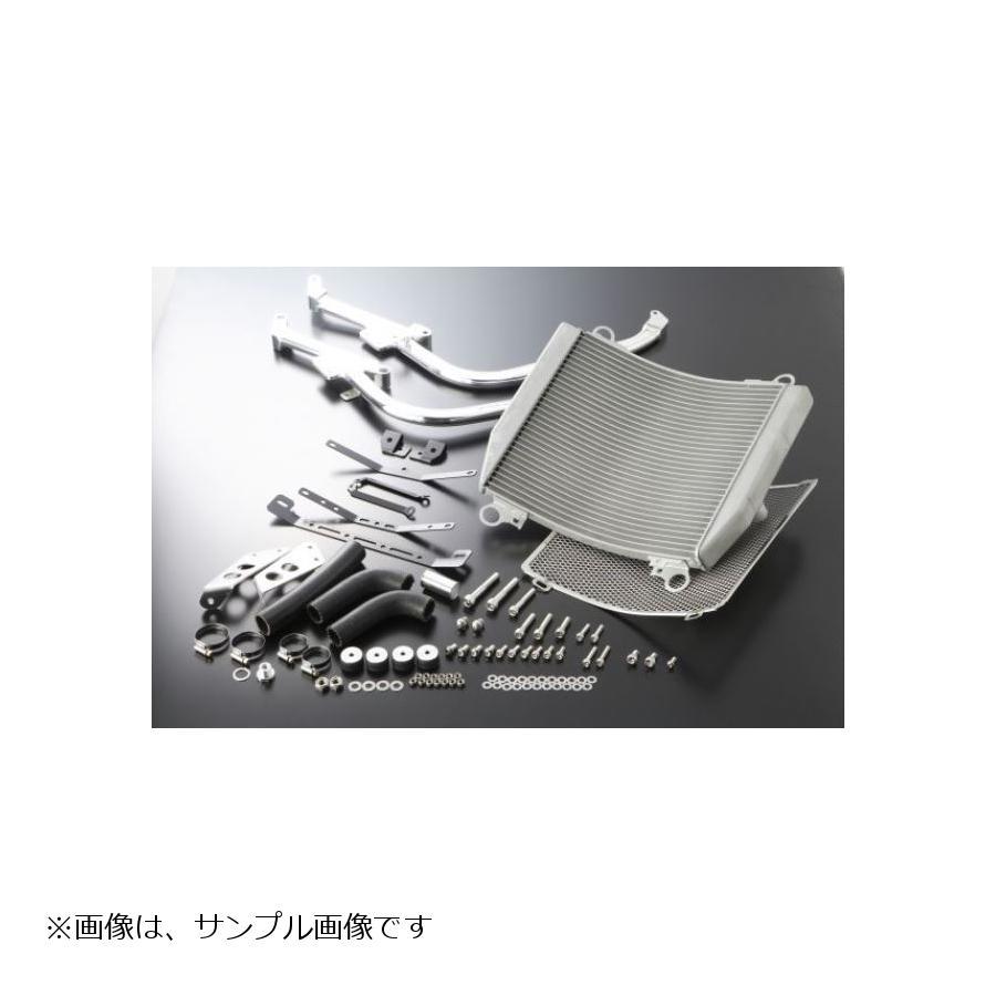 ACTIVE(アクティブ) コアASSY コアガードツキ シルバー V-MAX 5050006