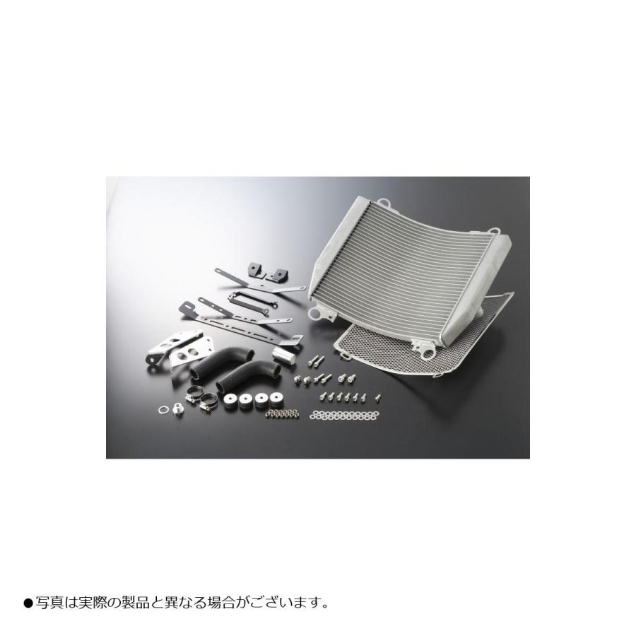 アクティブ　ビッグラジエーター ACTIVE（アクティブ） ビッグラジエーターキット TYPE3 シルバー