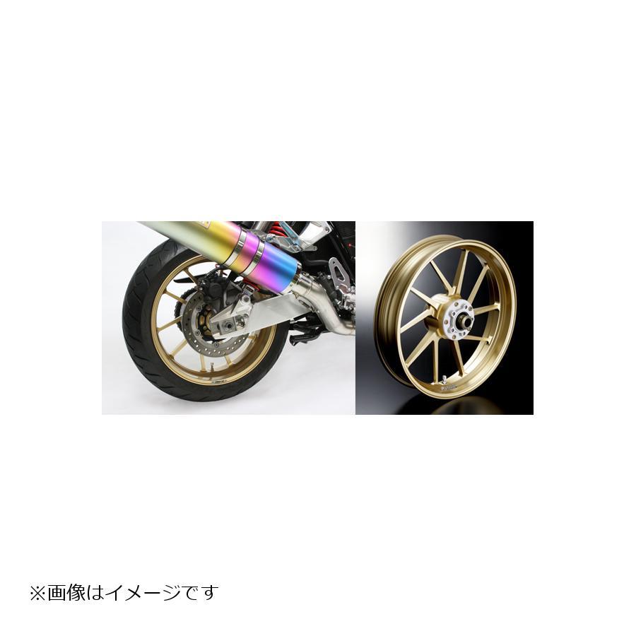GALE SPEED（ゲイルスピード） R 500-17 ゴールド TYPE-R SV650(ABS) /X 20-22 28355175 ...