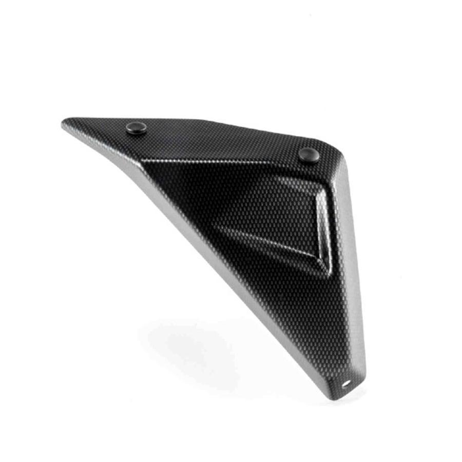 Puig(プーチ) サイドパネル カーボンプリント R1200RS R 7693C