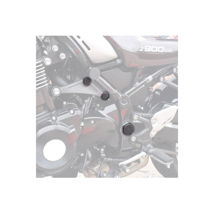 Puig(プーチ) シャシーキャップ ブラック 樹脂 Z900RS 9778N