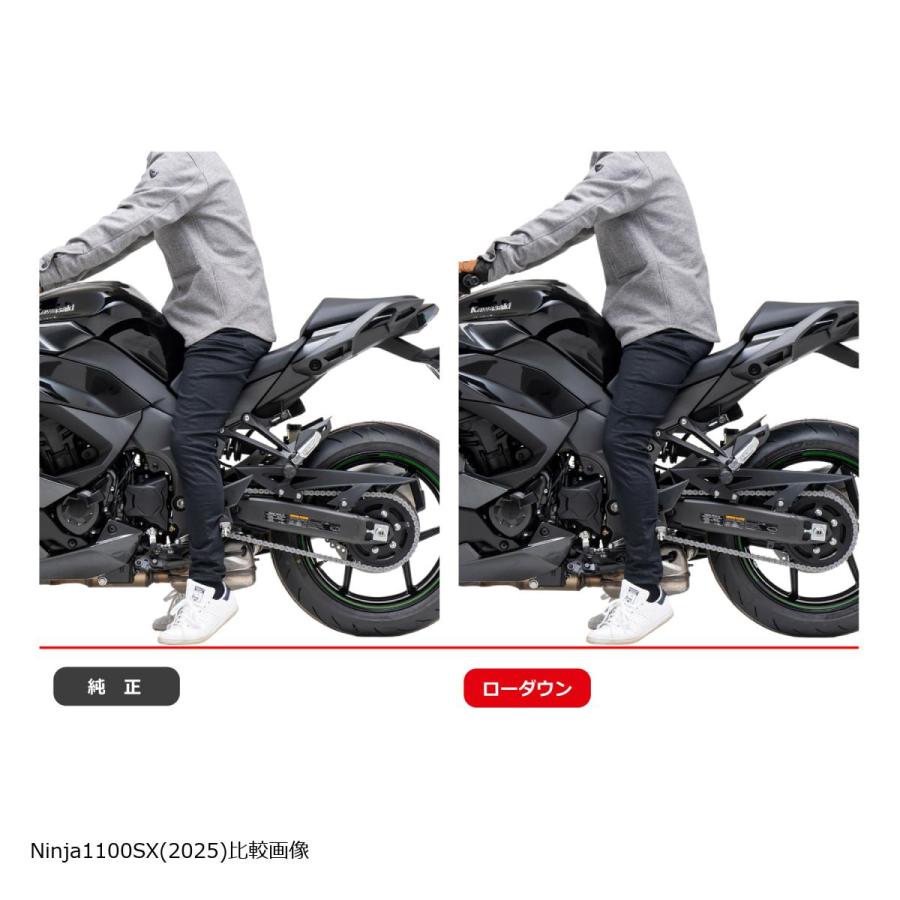 Ninja 1000用EFFEXローダウンキット20ⅿⅿダウン EFFEX エフェックス ローダウンキット 20mmダウン Ninja1100SX 25