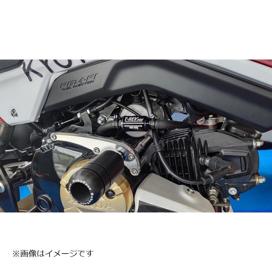 TERAMOTO(テラモト) T-REVmini SPキット ゴールド グロム 4235-mini