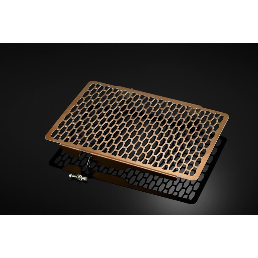 BIKERS (バイカーズ) ラジエターガード チタンコート RGD CBR650R CB650R | BIKERS