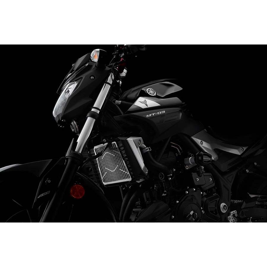 BIKERS(バイカーズ) ステンレスラジエターガード MT-25/03の画像