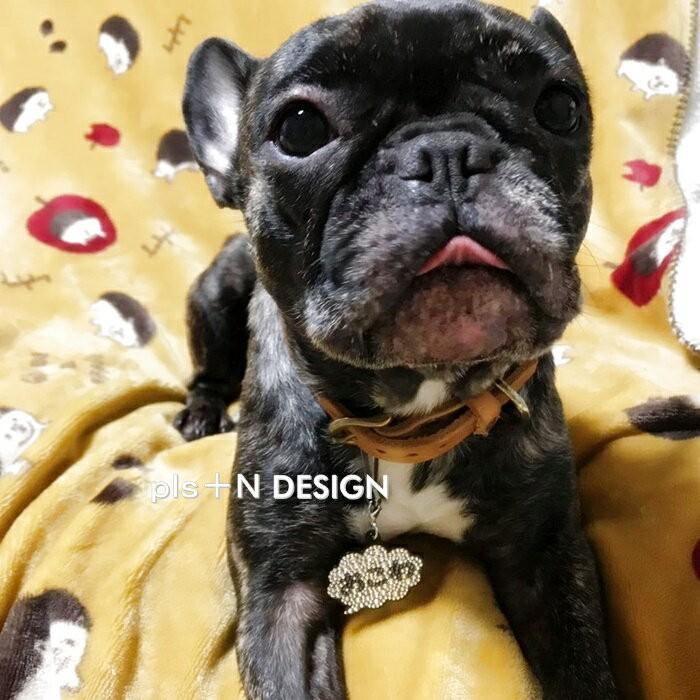 犬 ネームプレート ネームタグ 猫 名札 おしゃれ スワロフスキー キラキラ 名入れ プレゼントにもおすすめ お好きなカラーでお作りします 1915 デコショップ プラスn 通販 Yahoo ショッピング