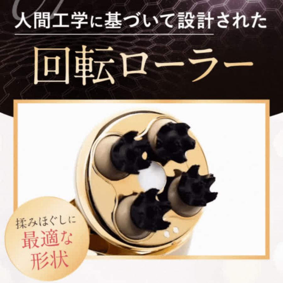 fuettarich フエッタリッチ スカルプ ヘッドスパ ems ブラシ fuettarich フエッタリッチ スカルプ ヘッドスパ ems ブラシ