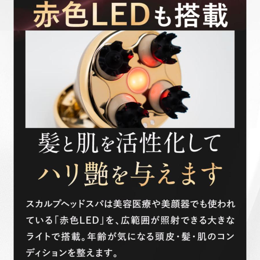 fuettarich フエッタリッチ スカルプ ヘッドスパ ems ブラシ fuettarich フエッタリッチ スカルプ ヘッドスパ ems ブラシ