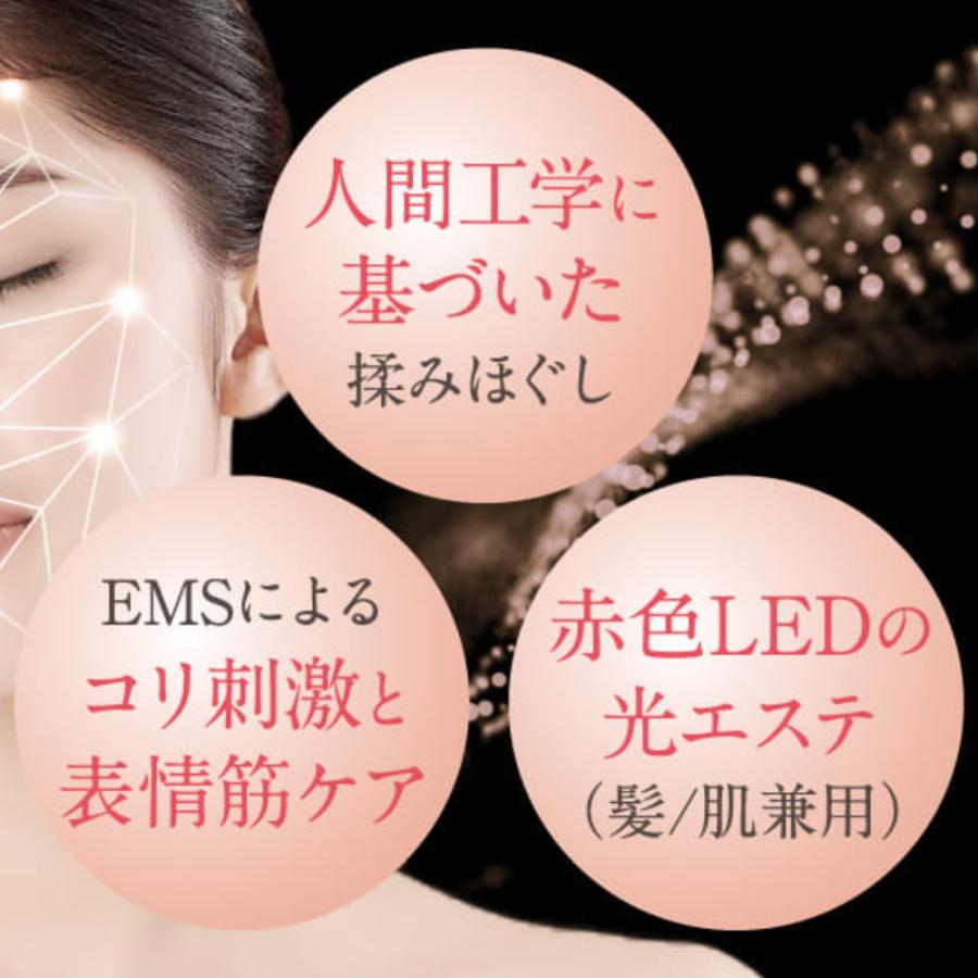 fuettarich フエッタリッチ スカルプ ヘッドスパ ems ブラシ fuettarich フエッタリッチ スカルプ ヘッドスパ ems ブラシ