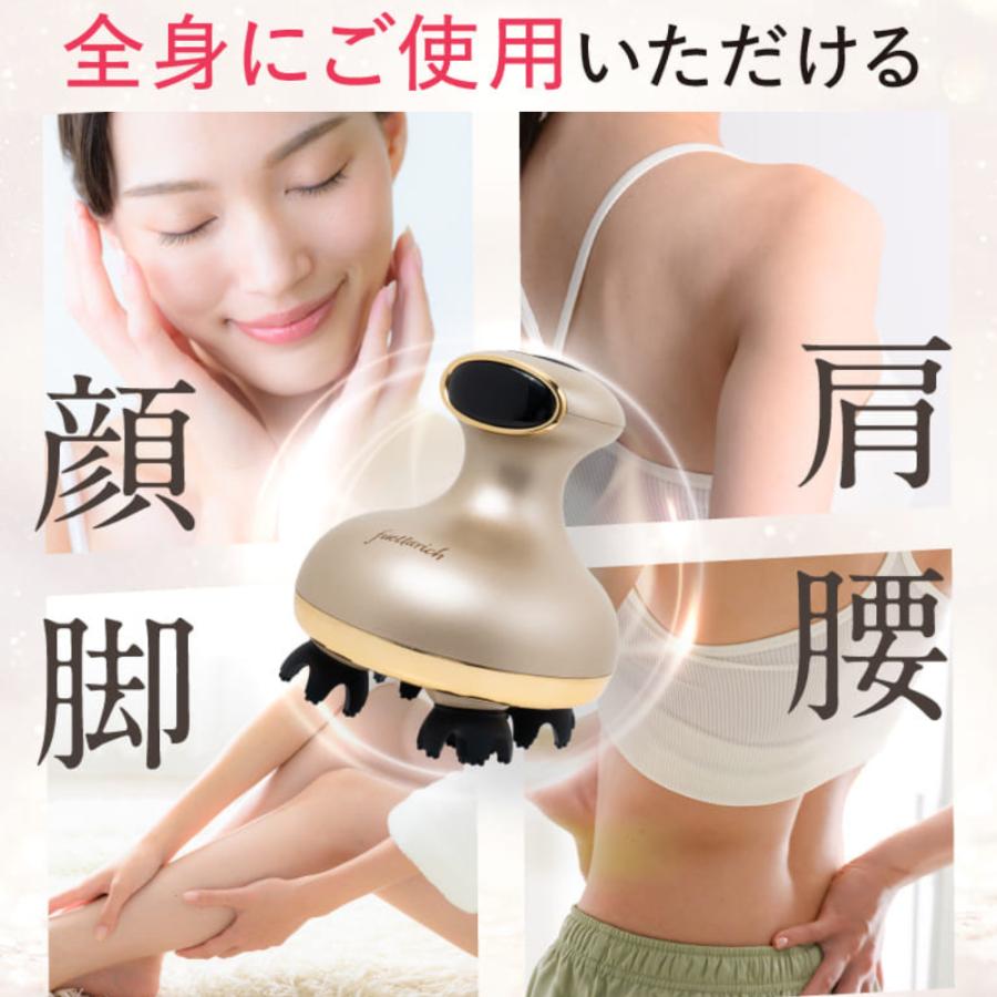 fuettarich フエッタリッチ スカルプ ヘッドスパ ems ブラシ fuettarich フエッタリッチ スカルプ ヘッドスパ ems ブラシ