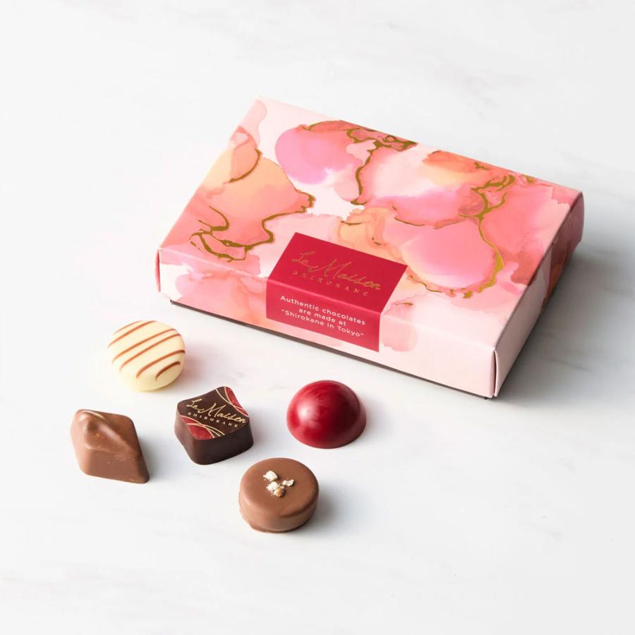 バレンタイン 2026 チョコレート ラメゾン白金 白金ショコラ 5粒入