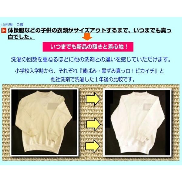 プロ秘伝の洗剤 無リン 黄ばみ 黒ずみ真っ白 ピカイチ 5回分 お試しセット メール便にて送料無料 Kiku003 プルメリアガーデンfs 通販 Yahoo ショッピング