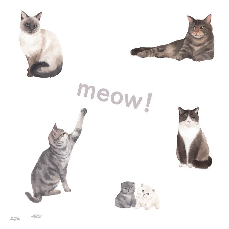 スマホケース AQUOS ZERO SH-M10 ケース ネコ 子猫 ねこ柄 くすみカラー かわいい 大人可愛い シンプル 送料無料｜plumeria1988s63｜03