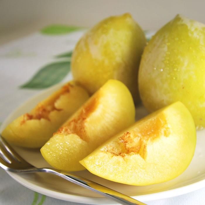 山梨県産 すもも プラム ケルシー 3kg箱 36 42玉前後 Kr 02 武井プラムファーム 通販 Yahoo ショッピング