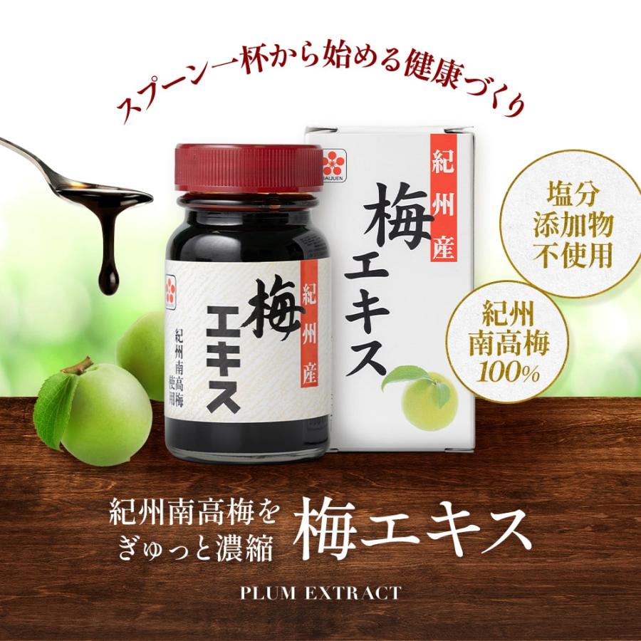 紀州梅を凝縮 ！手作り【純正】梅エキス 90g |  | 01
