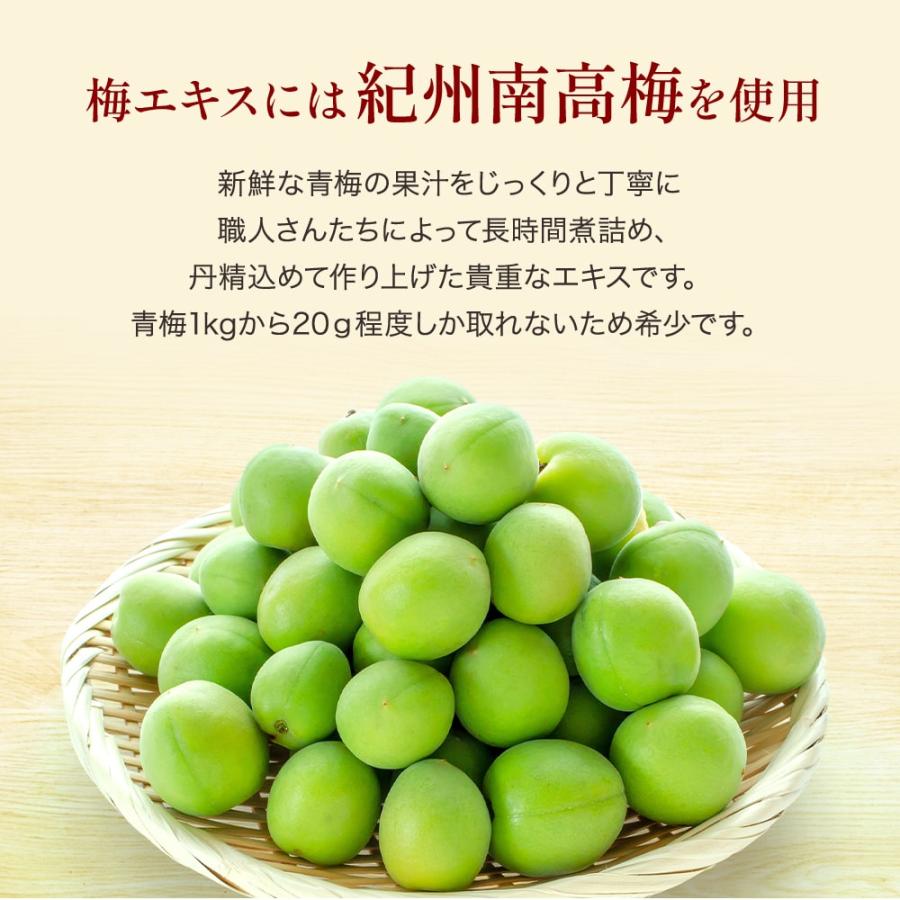 紀州梅を凝縮 ！手作り【純正】梅エキス 90g |  | 04