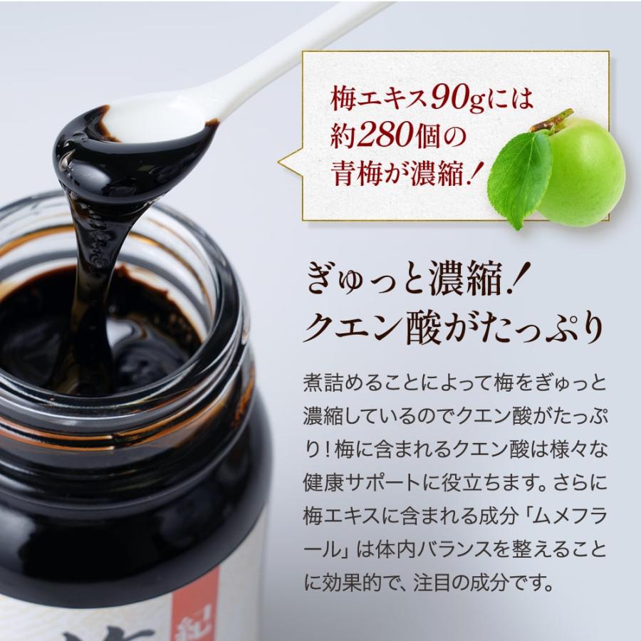 紀州梅を凝縮 ！手作り【純正】梅エキス 90g |  | 06