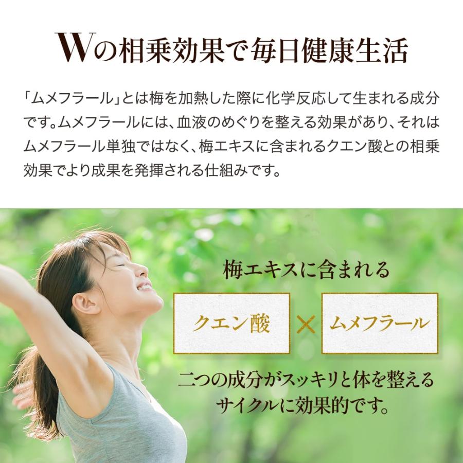 紀州梅を凝縮 ！手作り【純正】梅エキス 90g |  | 07