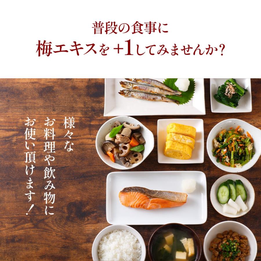 紀州梅を凝縮 ！手作り【純正】梅エキス 90g |  | 08