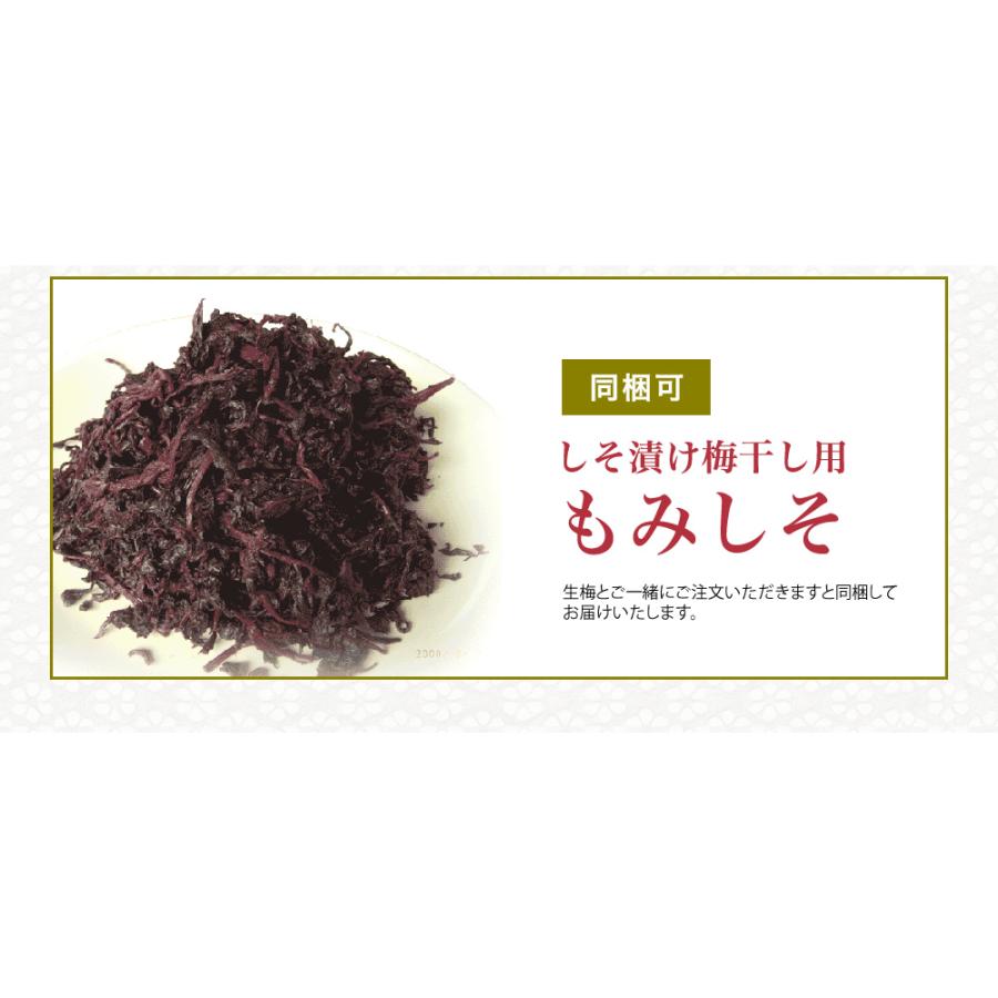 完熟梅・青梅　5kg　紀州南高梅　熟度・量・粒サイズが選べる　送料無料(一部別途) 梅シロップ　梅ジュース　梅酒　梅干し　梅ジャム |  | 09