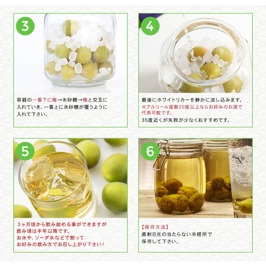 完熟梅・青梅　紀州南高梅 10kg 熟度・量・粒サイズが選べる　送料無料(一部別途) 梅シロップ　梅ジュース　梅酒　梅干し　梅ジャム |  | 07