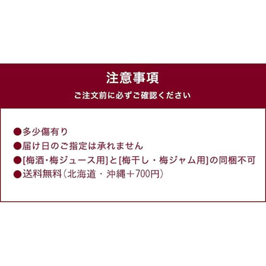 完熟梅・青梅　紀州南高梅 10kg 熟度・量・粒サイズが選べる　送料無料(一部別途) 梅シロップ　梅ジュース　梅酒　梅干し　梅ジャム |  | 09