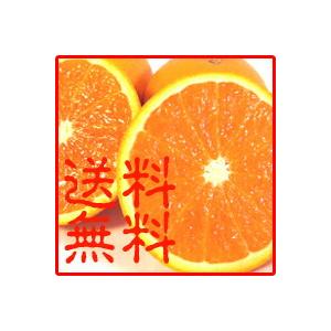 【送料無料】清見オレンジ　５ｋｇ箱入 | 