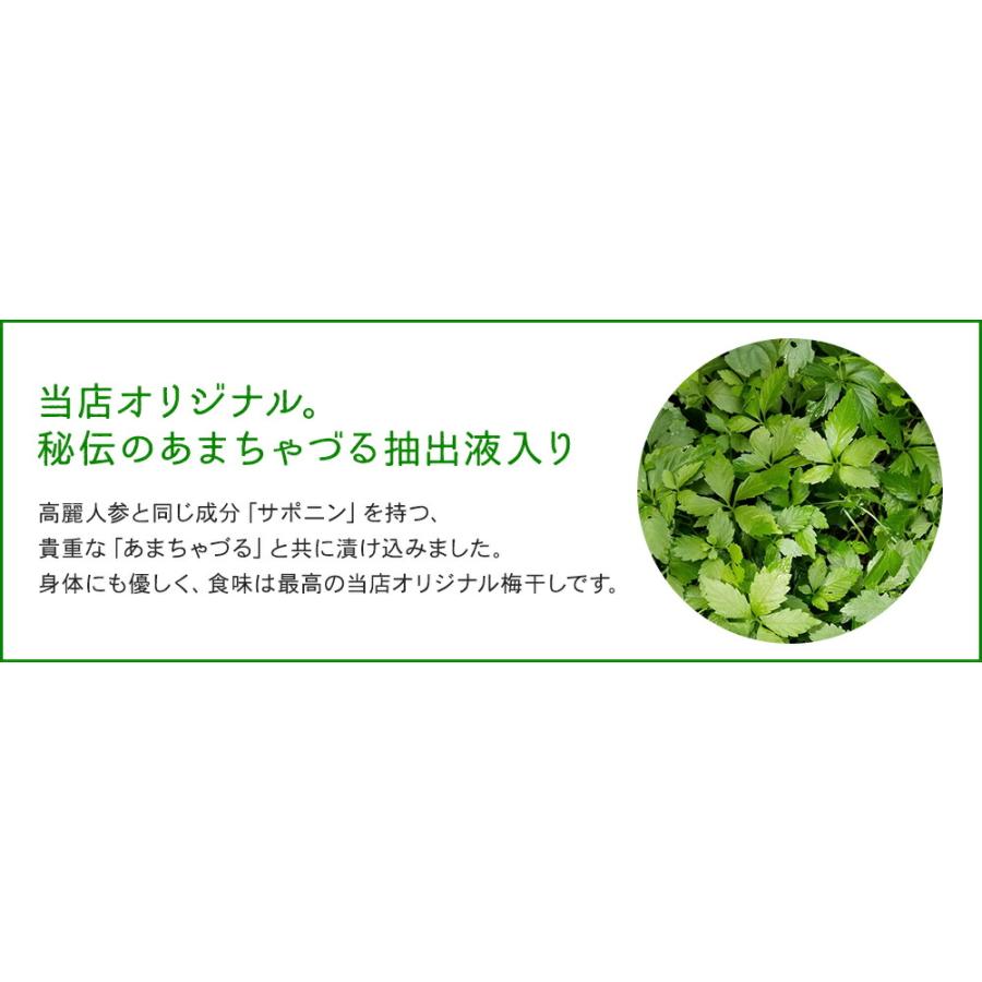 訳あり 梅干し 送料無料(北海道・沖縄 送料700円) 紀州南高梅 あまちゃづる つぶれ梅 訳あり梅干 400g×2パック |  | 05