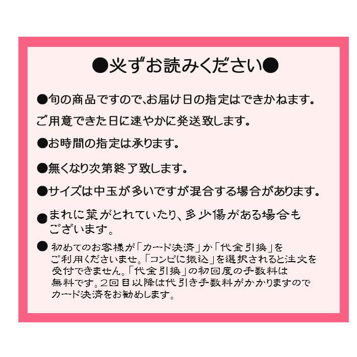 気候温暖な紀州で育った葉付ぽんかん５ｋｇ箱入。【限定１００名様】 |  | 02