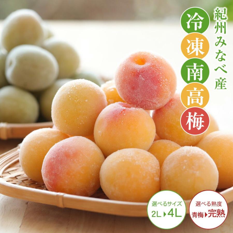 01.隣県限定 常温 10kg 山形県産 谷沢梅 完熟 中熟 梅ジャム ジュース 03.隣県限定 常温 10kg 山形県産 谷沢梅 完熟 中熟 梅ジャム