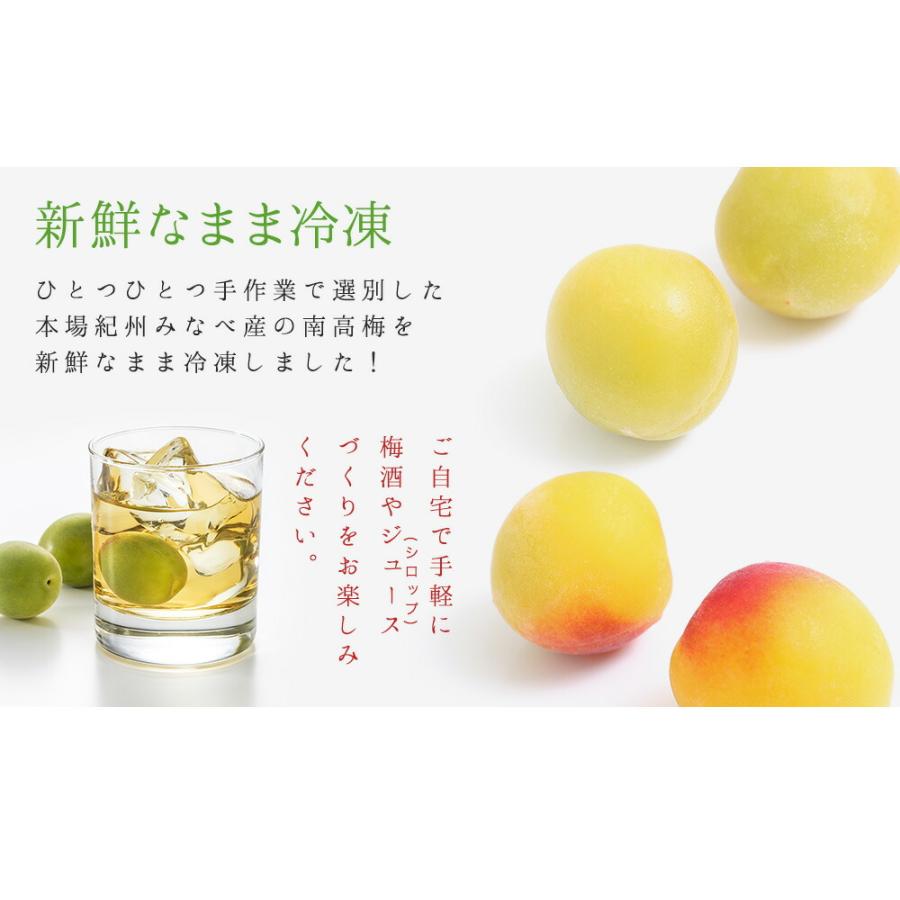 冷凍梅 1kg 選べる熟度とサイズ 2025年度産冷凍南高梅 和歌山県産 冷凍梅送料無料（一部別途）梅ジュース・梅シロップ・梅酒・梅ジャム ・青梅・梅干し 紀州産 |  | 01