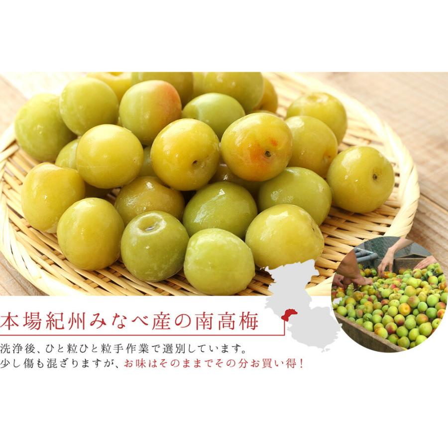 冷凍梅 1kg 選べる熟度とサイズ 2025年度産冷凍南高梅 和歌山県産 冷凍梅送料無料（一部別途）梅ジュース・梅シロップ・梅酒・梅ジャム ・青梅・梅干し 紀州産 |  | 03