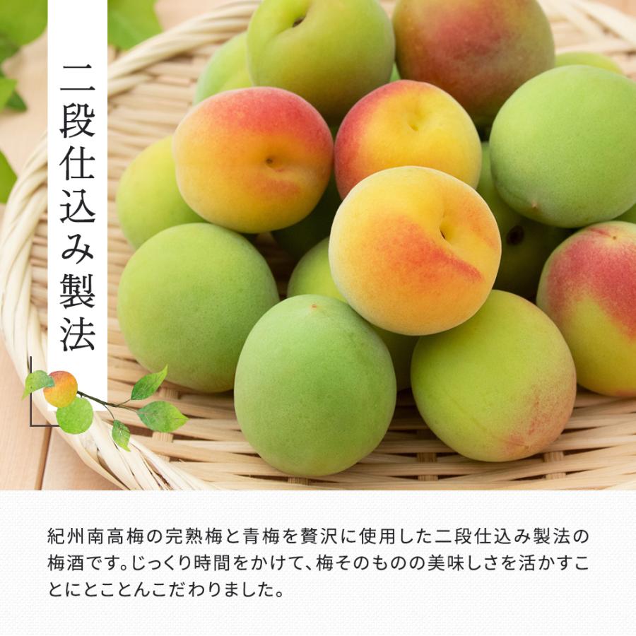 梅酒 梅樹園オリジナル梅酒「B」 300ml 13度 紀州南高梅 送料無料(北海道・沖縄送料700円) リキュール 箱入り 手土産 プレゼント お取り寄せ 自宅用 |  | 02