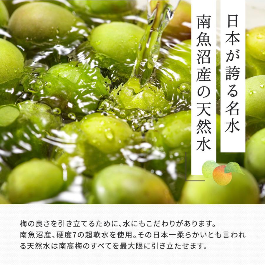 梅酒 梅樹園オリジナル梅酒「B」 300ml 13度 紀州南高梅 送料無料(北海道・沖縄送料700円) リキュール 箱入り 手土産 プレゼント お取り寄せ 自宅用 |  | 05