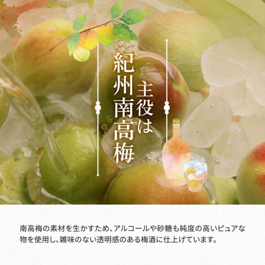 梅酒 梅樹園オリジナル梅酒「B」 300ml 13度 紀州南高梅 送料無料(北海道・沖縄送料700円) リキュール 箱入り 手土産 プレゼント お取り寄せ 自宅用 |  | 06