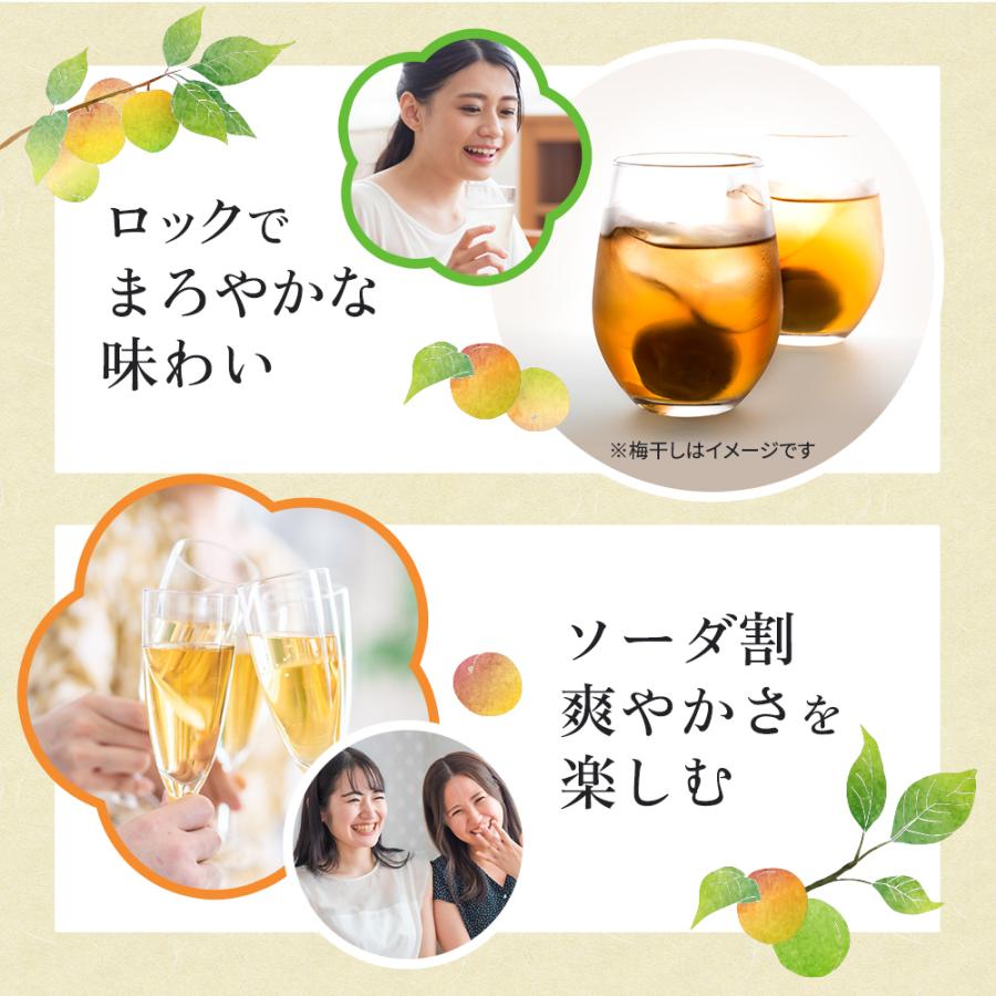 梅酒 梅樹園オリジナル梅酒「B」 300ml 13度 紀州南高梅 送料無料(北海道・沖縄送料700円) リキュール 箱入り 手土産 プレゼント お取り寄せ 自宅用 |  | 08