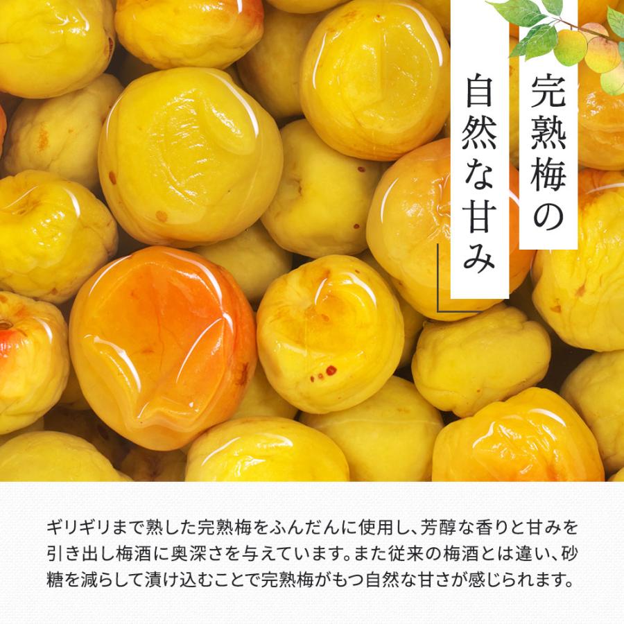 梅酒 梅樹園オリジナル梅酒「B」 720ml 13度 紀州南高梅 送料無料(北海道・沖縄送料700円) リキュール 箱入り 手土産 プレゼント お取り寄せ 自宅用 |  | 03