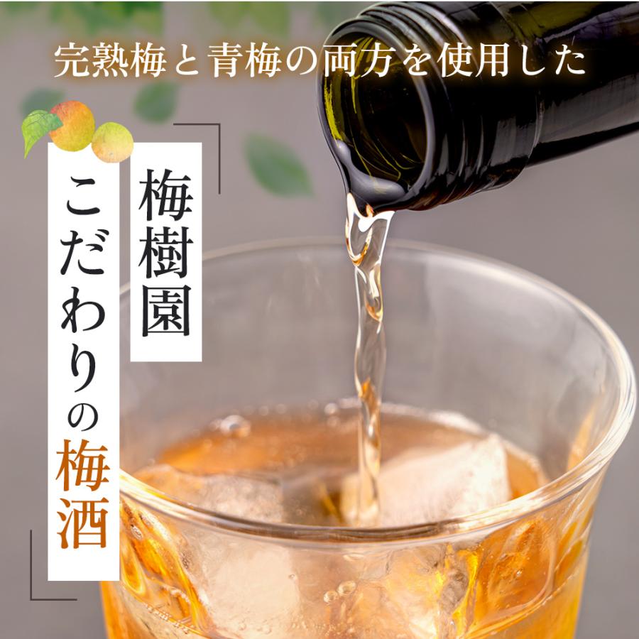 梅酒 梅樹園オリジナル梅酒「B」 720ml 13度 紀州南高梅 送料無料(北海道・沖縄送料700円) リキュール 箱入り 手土産 プレゼント お取り寄せ 自宅用 |  | 07