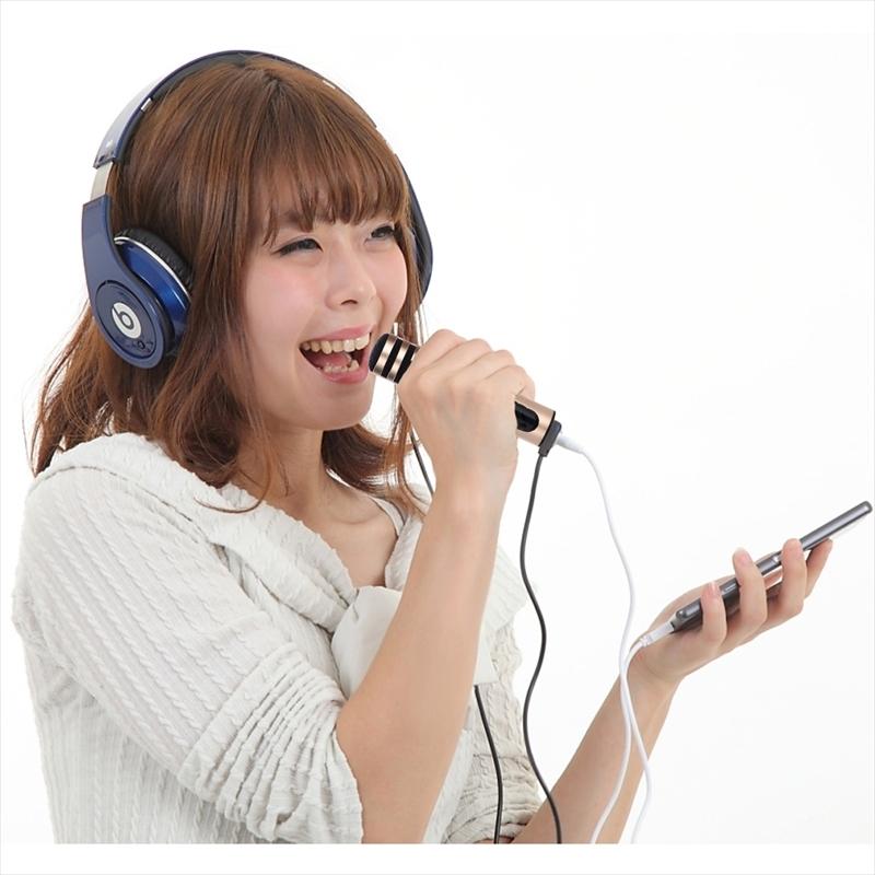 一人カラオケ カラオケマイク スマホ タブレット エコー 機能付き Usb充電 Pdf説明書 パソコン Iphone アイフォン Ipad アイパッド Android アンドロイド 端末 Karaokemic Plumriver 通販 Yahoo ショッピング