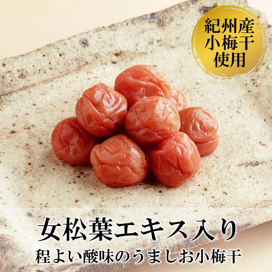 紀州産女松小梅干【380ｇ・800ｇ】縁起物 看板梅 塩分14％ 白浜お土産 塩分補給 お弁当梅 | 