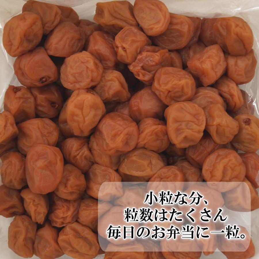 紀州産はちみつ入り小梅干【380ｇ・800ｇ】はちみつ 塩分控えめ 低塩 減塩 小粒 塩分補給 お弁当梅 |  | 01