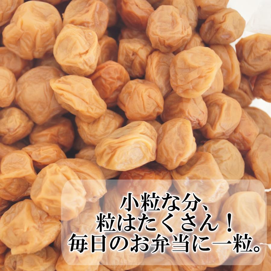 紀州産うす塩風味小梅干【380ｇ・800ｇ】塩分控えめ 低塩 減塩 あっさり 小粒 塩分補給 お弁当梅 |  | 01