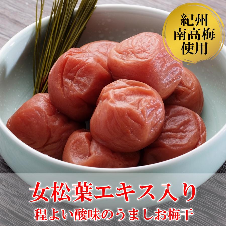 選べる梅干プチギフト80g 紀州南高梅 手土産・記念品に まとめ買いがお得 |  | 01