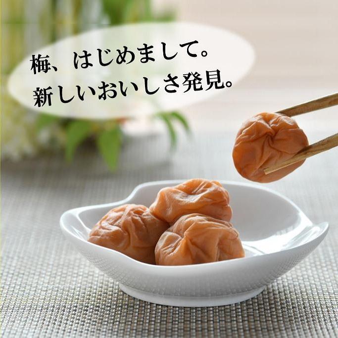 紀州南高梅 3種食べ比べセット 女松・はちみつ・うすしお お試し 80g×3個セット 梅干し |  | 01