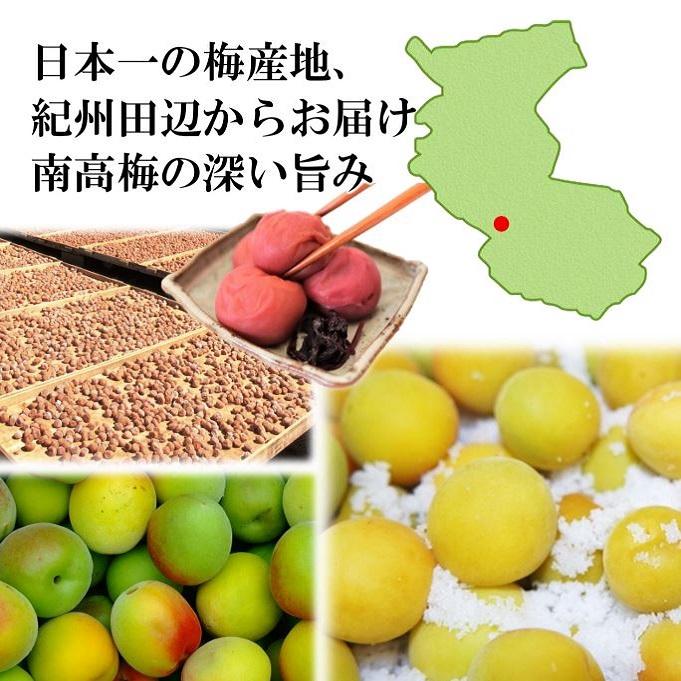 訳ありつぶれ梅 紀州南高梅 梅富久良 350g あっさり塩分控えめ約6％ 家庭用 |  | 06