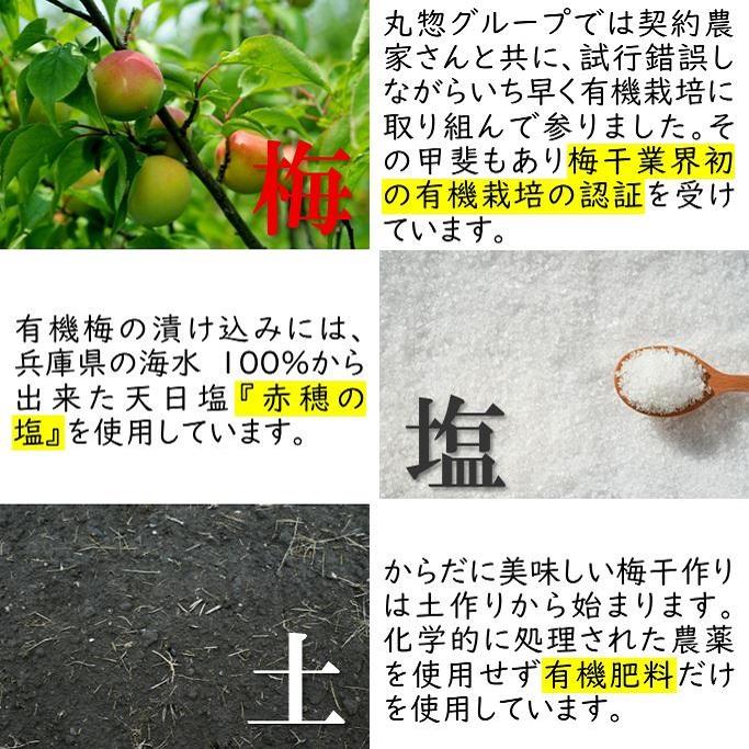 【ネコポス】紀州南高梅　有機梅肉150ｇ オーガニック 梅肉 梅調味料 JAS お試し まとめ買いがお得 ポイント消化 |  | 05