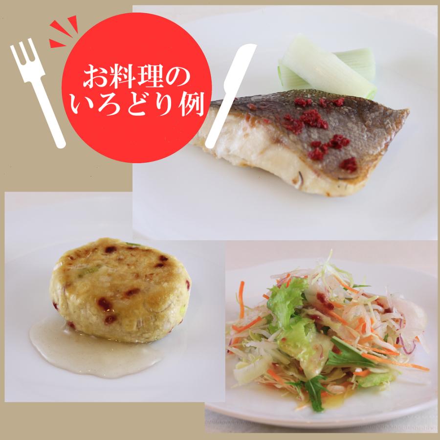 【ネコポス】紀州南高梅 乾燥梅 40ｇ フリーズドライ梅肉 赤しそ風味 うまみ調味料無添加 お試し まとめ買いがお得 ポイント消化 |  | 03