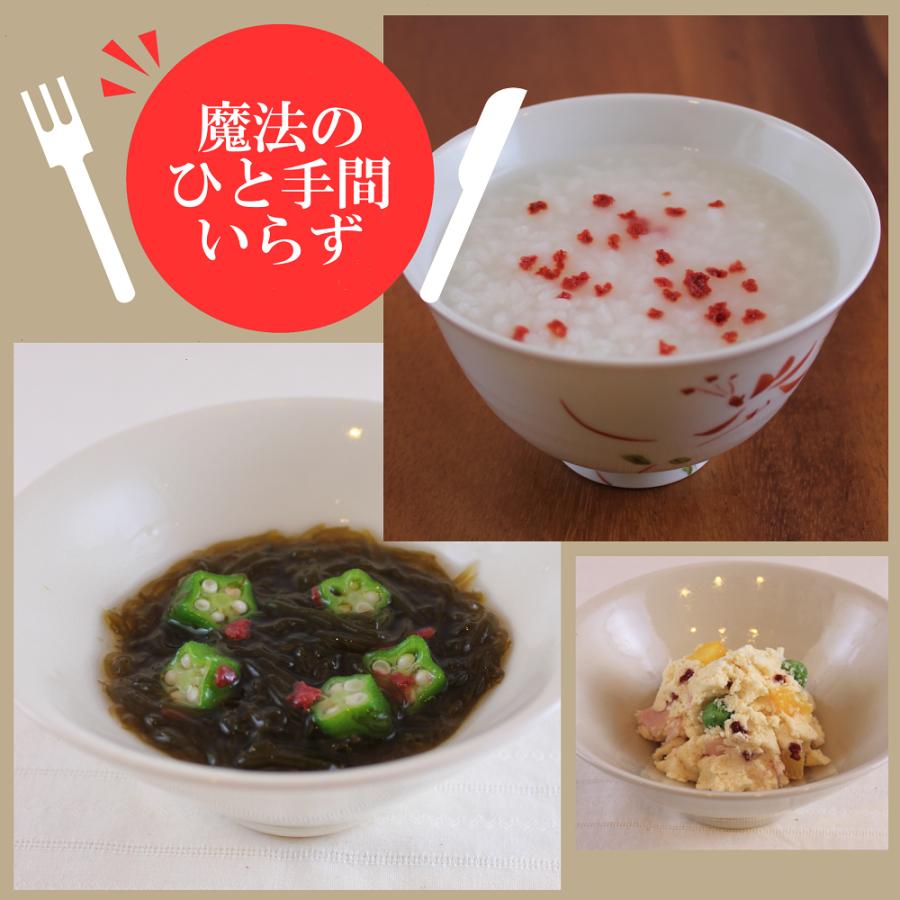 【ネコポス】紀州南高梅 乾燥梅 40ｇ フリーズドライ梅肉 赤しそ風味 うまみ調味料無添加 お試し まとめ買いがお得 ポイント消化 |  | 04