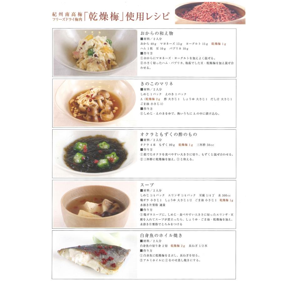 【ネコポス】紀州南高梅 乾燥梅 40ｇ フリーズドライ梅肉 赤しそ風味 うまみ調味料無添加 お試し まとめ買いがお得 ポイント消化 |  | 05